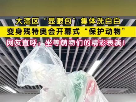 “大湾鸡”集体洗白白,准备残特奥会