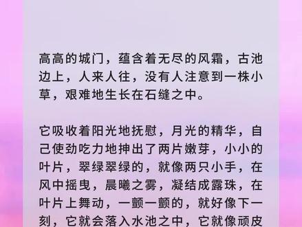 你入仙我入魔#番茄小说