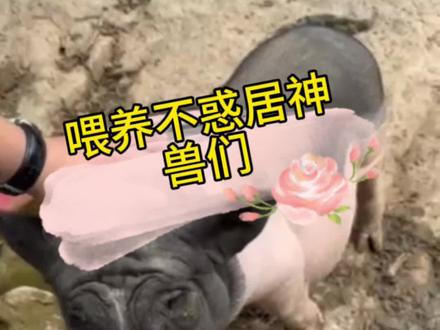 “磨棱角,退优越,沉下心”,孤独俩字拆开看,有小孩,有水果,有走兽,有虫蝇,足以撑起一份盛夏烟火不惑居的人情味。#悲喜自度 #三五好友一壶老酒