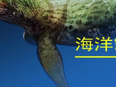 摇滚恐龙:沧龙 #恐龙 #科普 #沧龙#恐龙灭绝 #方舟生存进化 #进化
