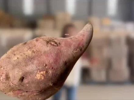 产品冲出屏幕视频制作教程来了 冲出屏幕视频怎么制作,宣传产品转场教程,00后运营宣传公司转场教程 #由小云雀seedance2.0制作 #小云雀AI #小云雀爆款马上成片 #小云雀seedance#用小云雀Agent短剧一键直出