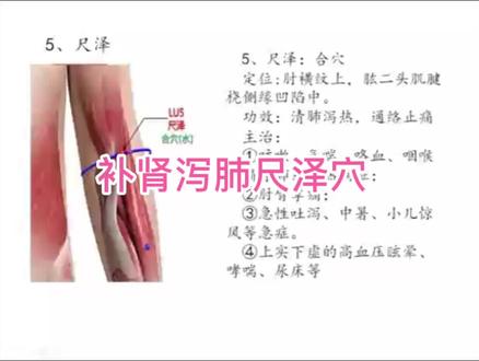 补肾泻肺尺泽穴