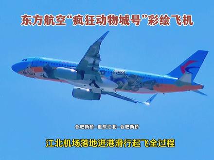 东方航空“疯狂动物城号”彩绘飞机,江北机场落地起飞全过程。 大家好!这里是重庆江北国际机场,
现在机场02L跑道落地的是,东方航空的窄体彩绘客机,
这架飞机是从合肥新桥机场飞来重庆江北机场的,航班号是MU5483,乘客140人,
这是一架东方航空全新“疯狂动物城”主题彩绘飞机——“迪士尼•疯狂动物城号”。
这架全新主题飞机的外形彩绘,描绘了《疯狂动物城》动画电影中备受喜爱的各种动物角色。
“迪士尼•疯狂动物城号”创新地使用了飞机涂装贴花技术,
成为中国东方航空首架呈现3D立体迪士尼角色图案的主题彩绘飞机。
旅客登上“迪士尼•疯狂动物城号”后,会发现遍布机舱内部的主题元素:
为不同体型的动物量身打造的行李架图案,以及印有新园区地图、展现动物居民们最喜爱的城中地标的小桌板。
这架飞机的型号是空客A320-232,注册号为B8119,机龄9.6年,
合肥新桥飞重庆江北,飞行里程1146公里,飞行时长1小时46分钟,
飞机向南滑行,要滑行到T3A航站楼的304机位停靠,
停留了1个多小时后,这架飞机又出发了。
现在飞机执行的航班号是MU5365,由重庆江北机场直飞合肥新桥机场,乘客150人,
飞机腾空飞走了,谢谢大家的观看与点赞支持!我们下次再见。#一起看飞机 #追飞机的人