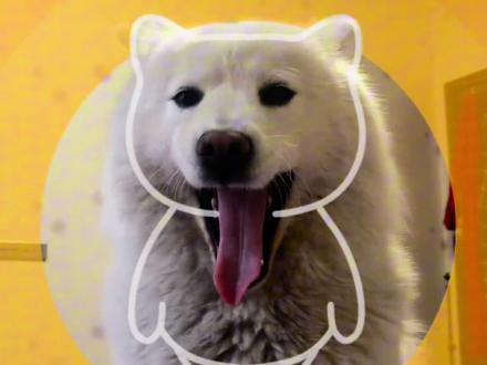 ai疯狂的鸽子制作教程来啦#疯狂的鸽子 #疯狂的鸽子跳舞#鸽子跳舞#疯狂的鸽子卡点 ai疯狂的鸽子特效 ai疯狂的鸽子制作疯狂的鸽子ai
特效 疯狂的鸽子卡点特效 疯狂鸽子ai特效在哪找疯狂鸽子舞ai特效怎么弄 鸽子舞特效怎么用
鸽子摇舞蹈ai特效制作教程 鸽子摇AI特效一键做疯狂的鸽子 疯狂的鸽子ai生成教程 疯狂的鸽子摇模版 疯狂的鸽子特效#剪映