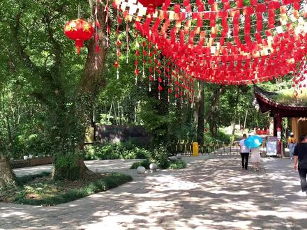 北仑九峰山小众路线,亲子户外爬山,节假日人也很少。