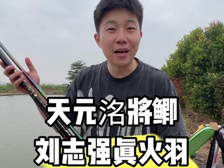 洺将鲫、真火羽、闪光P究竟谁才是小鲫鱼王者? #鱼竿测评 #洺将鲫 #真火羽 #禧玛诺