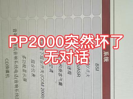 PP2000突然坏了,无对话,无通讯,继电器没吸合声,急 #标致 #雪铁龙