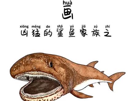 #我要上热门 画只有一米宽的巨口鲨,体长可达5.5米,重达1吨,十分罕见!#画画 #手绘