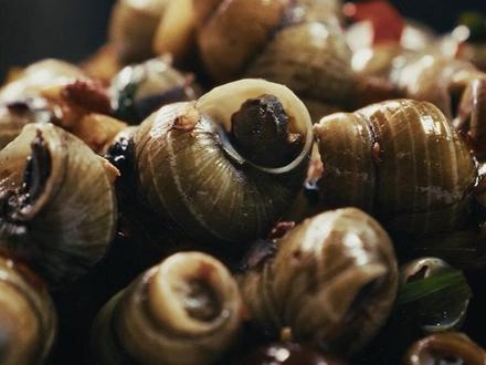 现在正是吃螺蛳的好时节,抓紧嗦起来啦 #王叔开小灶#炒螺蛳#今天吃什么 #美食教程#家常美食