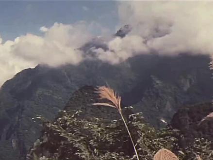 铁血丹心
#红白囍 @抖加上热门