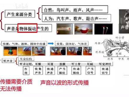 四上科学期末知识点复习