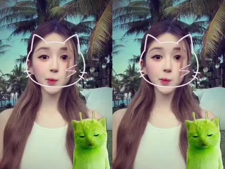 你也在找外星小绿猫合拍舞蹈特效吗?#外星小绿猫#小鸡舞挑战#剪映 #星遇好春光