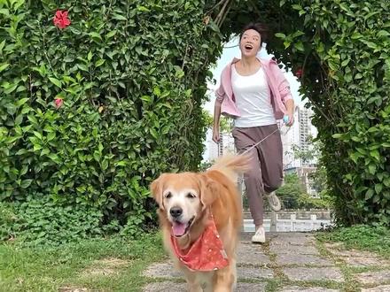 狗子夏日更黏人了怎么办?今年我终于解决了这个问题...@优衣库 UNIQLO #全国酷暑挑战一件搞定凉感