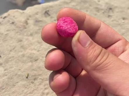 0到3岁早教儿歌-适合0-3岁儿童的早教儿歌盘点-启蒙益智早教儿歌-早教益智儿歌-1-3岁儿童早教益智儿歌 #奥特曼儿童动画片 #奥特曼打怪兽 #亲子互动 #启蒙早教 #益智动画