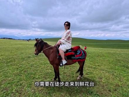 我觉得这些草原选一个看看就行了,容易视觉疲劳 #真实生活分享计划 我个人觉得如果一个人的话,还是建议坐区间车,很方便,自驾景区的话里面弯路太多了#喀拉峻大草原 #新疆旅游 #自驾游