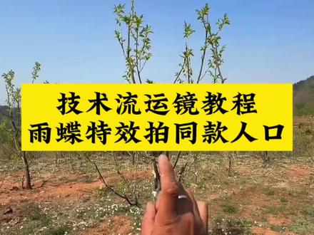 #技术流运镜教程 #雨蝶特效拍同款 技术流运镜ai视频指令 技术流运镜教学教程,技术流运镜视频ai指令,技术流运镜ai视频教程,技术流运镜ai生成视频,技术流运镜剪辑,技术流运镜特效,技术流运镜卡点,技术流运镜ai提示词,技术流运镜ai特效,技术流运镜ai教学教程,技术流AI运镜教程#即梦AI #AI分身戏精大赛 #我的AI分身杀疯了 即梦ai生成视频教程,即梦ai视频教程,即梦出镜教程,即梦ai教程,即梦ai转场,即梦ai运镜,技术流模板一键拍同款,技术流运镜模板一键拍同款,技术流视频制作教程,技术流运镜怎么拍,村里的技术流运镜,爱到心破碎技术流,雨蝶技术流运镜教程。