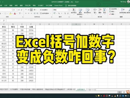Excel括号加数字变成负数咋回事? #excel #excel技巧 #office办公技巧 #办公软件技巧 #excel教学