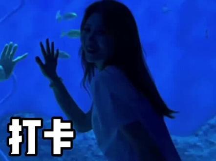 家门口的海底世界!我来啦#fyp #抖音小助手 #济南融创海世界 #济南融创 #海底世界@抖音小助手