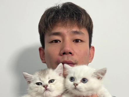 详细讲解银渐层银点如何区分,一学就废?#银渐层#银点#品种猫介绍