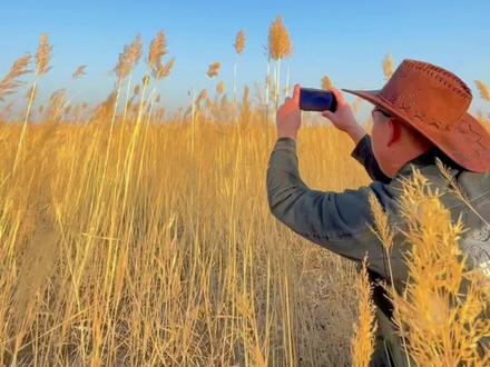 芦苇怎么拍,教你在芦苇荡里怎么给自己拍大片。#手机摄影#剪辑教程 #拍摄技巧@剪映研究所