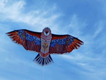 放飞超大老鹰风筝实拍,咱敢说广场上放飞你就是最靓的崽,快带自己孩子去草原奔跑吧#创作灵感 @DOU+小助手 #风筝