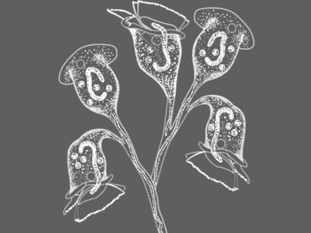 90秒分享如何区分累枝虫,独缩虫,聚缩虫#显微镜下的世界 #污水处理