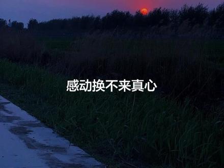 #情感治愈#情感共鸣#乡村麦田美景 感动换不来真心