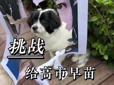 挑战给高市早苗看面相#A7徐多钱