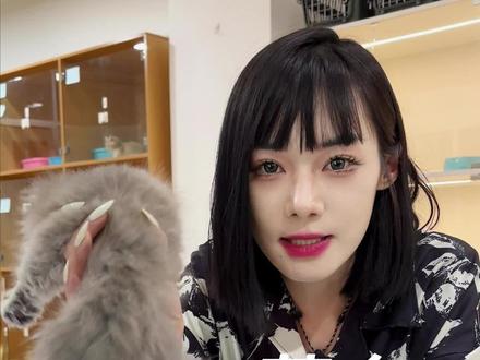 怎么辨别蓝金色号?!#猫咪 #萌宠出道计划