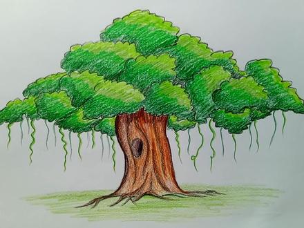 跟我一起画一个大榕树彩铅画作品