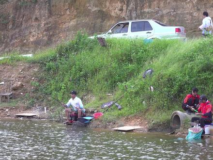 爆杆基地坐实了,钓一次,断一次,心疼一次! #游钓黑坑 #牛鼠峡钓场 #原来钓鱼才是抖音运动顶流