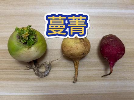 蔓菁,中国历史最悠久的蔬菜 不是萝卜哦。#新知贺岁眼界大开 #植物学家带你逛100个菜市场