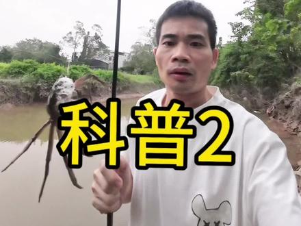 统一回复钓友,如果钓到臭螃蟹的话就建议不再食用#日常vlog