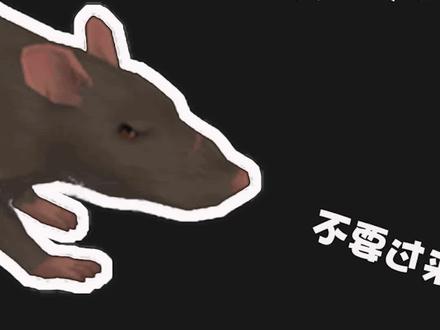 #游戏吐槽 真正的《疯狂地鼠城》这次没有抄袭!你敢信?