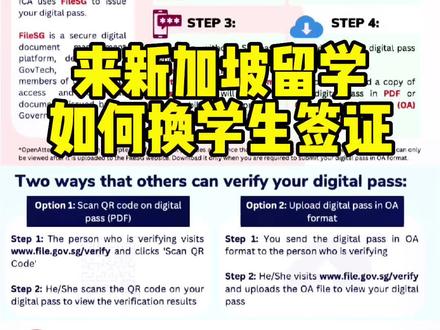 来新加坡留学 如何换学生签证#新加坡 #新加坡留学 #学生签证