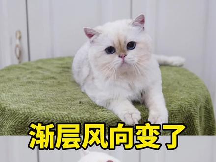 渐层的风向变了 #12色金渐层 #蓝金渐层 #紫金渐层 #金点渐层 #12色金点