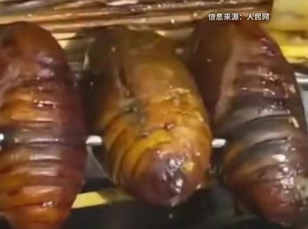 新鲜到还会动!男子吃烧烤点蚕蛹,刚要吃时发现蚕蛹在“摇头”