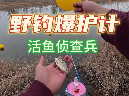 怎么才能精准找到鱼窝,看完你也可以! #钓鱼王地狱猫#创作者中心 #创作灵感 #沃鼎王者神剑四代#原来钓鱼才是抖音运动顶流