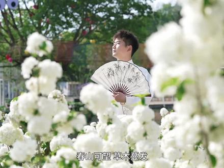 春山可望草木蔓发,我在重庆巴南的南彭发现了一片绣球花海#花汐谷 #重庆绣球花