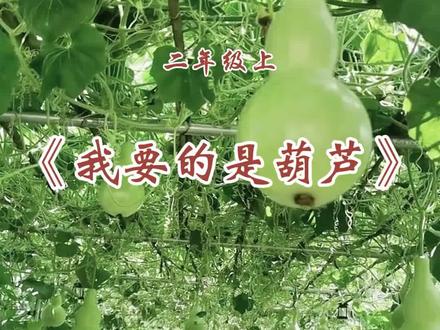 二年级上册语文 《我要的是葫芦》课文朗读 #二年级上册语文 #我要的是葫芦 #课文朗读 #视频教学 #家长收藏孩子受益