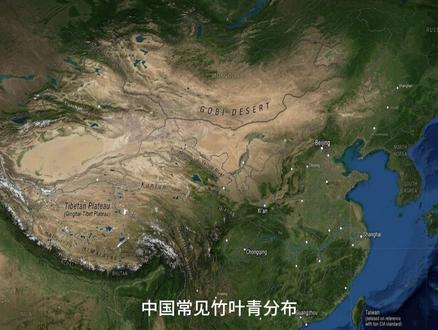 中国有多少种竹叶青?答案是15种,还在增加 很多人都以为竹叶青就是竹叶青,只有一种。其实中国有15种,2025到2026年就新发现了4种。我是老K,今天带你重新认识竹叶青。
#竹叶青 #蛇 #动物科普 #野生动物 #自然观察