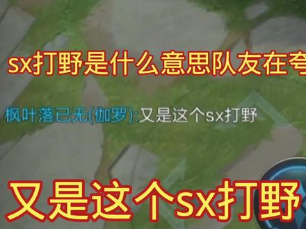 sx打野是什么意思?队友在夸我吗?