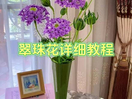 扭扭棒翠珠花 | 详细教程分享#手工 #扭扭棒教程 #手工diy #扭扭棒的100种玩法
