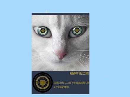 什么是设计广告招贴,湖北学校机构专业知识科普动画@抖音小助手#平面设计#mg动画