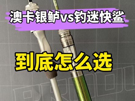 澳卡银鲈和钓迷澳卡,到底怎么选?#澳卡银鲈#钓迷快鲨#钓迷澳卡