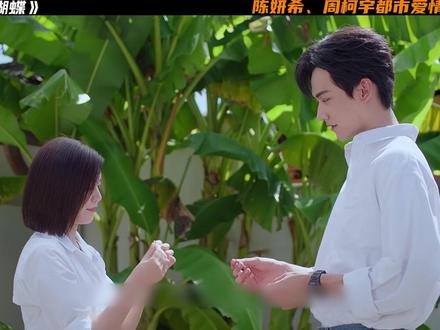 陈妍希、周柯宇新剧《狙击蝴蝶》 大结局所有人的爱情故事都画上了完美的句号#狙击蝴蝶#陈妍希#周柯宇#Soul#Soulapp