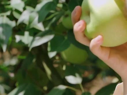 俗语“男怕柿子女怕梨,母猪最怕西瓜皮”是啥意思?为啥害怕呢? #俗语 #梨子 #柿子 #科普