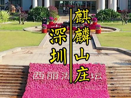 #深圳 百分之99% 的深圳人都不知道,这个低调神秘优美的山庄#美好生活推荐官#住进风景里 #麒麟山庄 #世外桃源