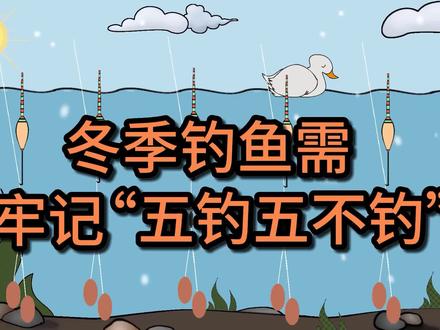 冬季钓鱼,牢记“五钓五不钓”,连竿爆护也不难 #钓鱼知识 #冬季钓鱼 #冬季野钓 #冬钓 #钓鱼技巧