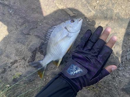 久等的周末出矶 #钓鱼只有钓鱼人懂 #平沙新城